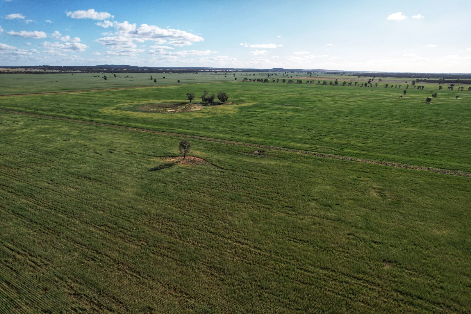 Additional image 2 of 'Laurel Hills' 81 Salters Road, Condobolin NSW 2877