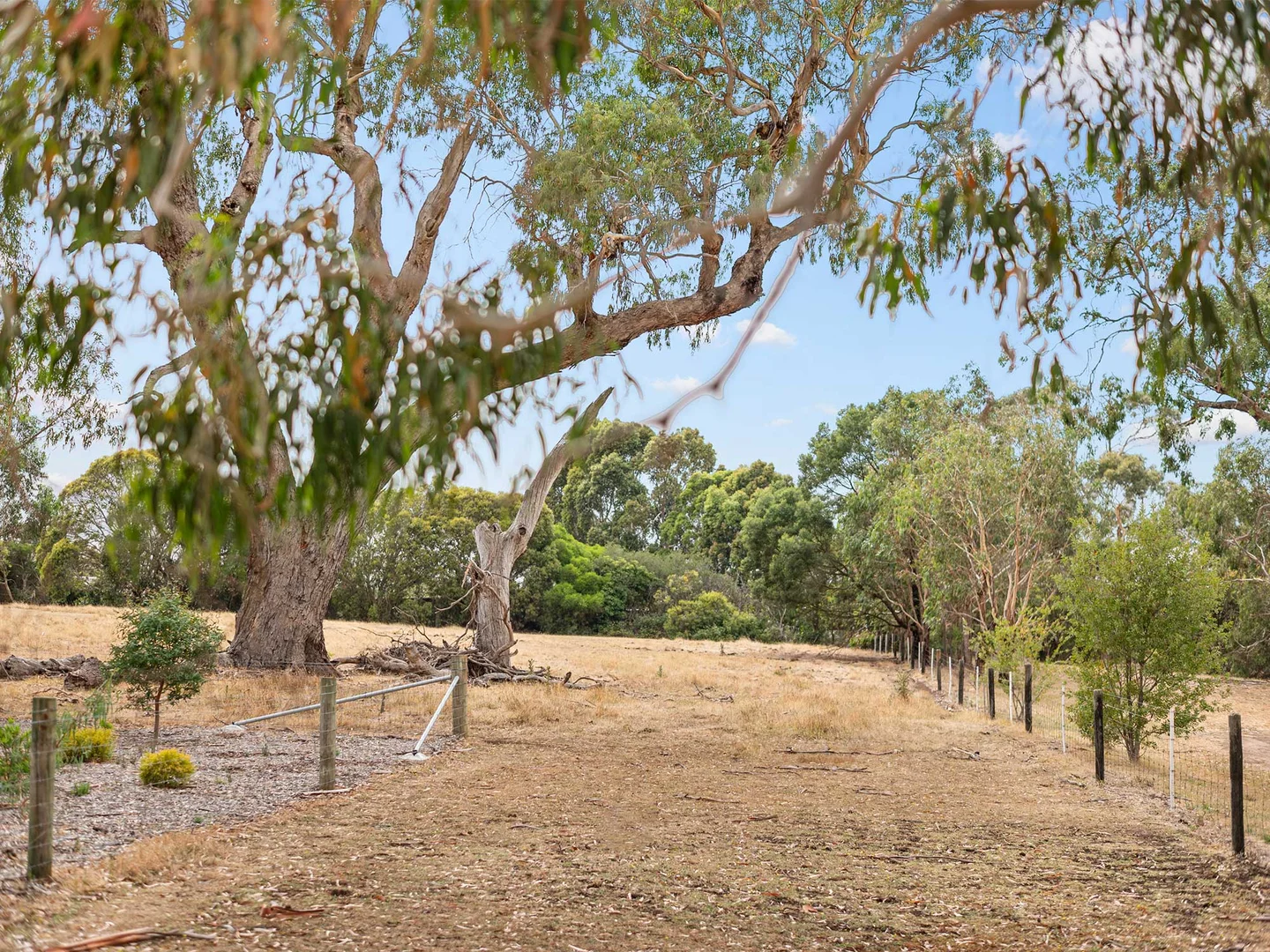 Additional image 6 of 27 Picnic Road, Tarrington VIC 3301