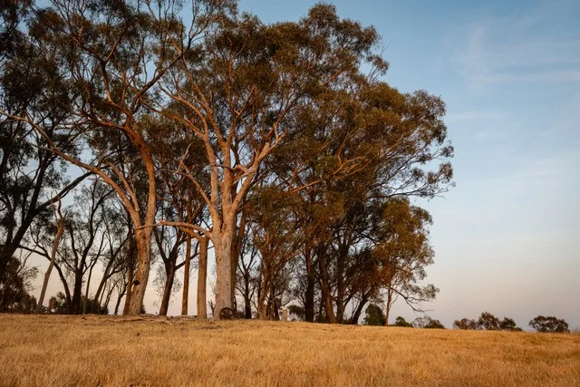 Additional image 9 of CA59D&59C Plain Road, Heathcote VIC 3523