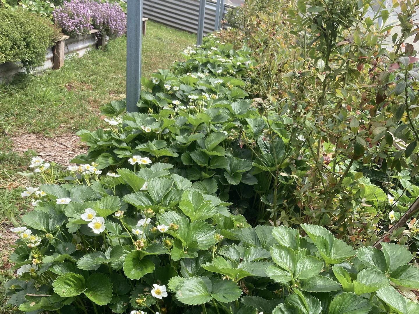 Additional image 25 of 211 Upper Scotchtown Road, Scotchtown TAS 7330