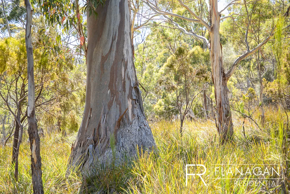 Additional image 7 of 181 Sheepwash Rd, Alonnah TAS 7150