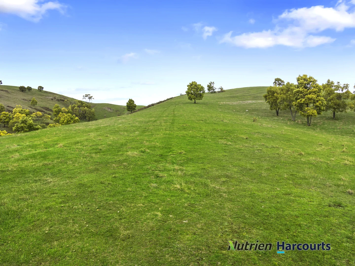 Additional image 14 of 3918 Whittlesea-Yea Road, Flowerdale VIC 3717