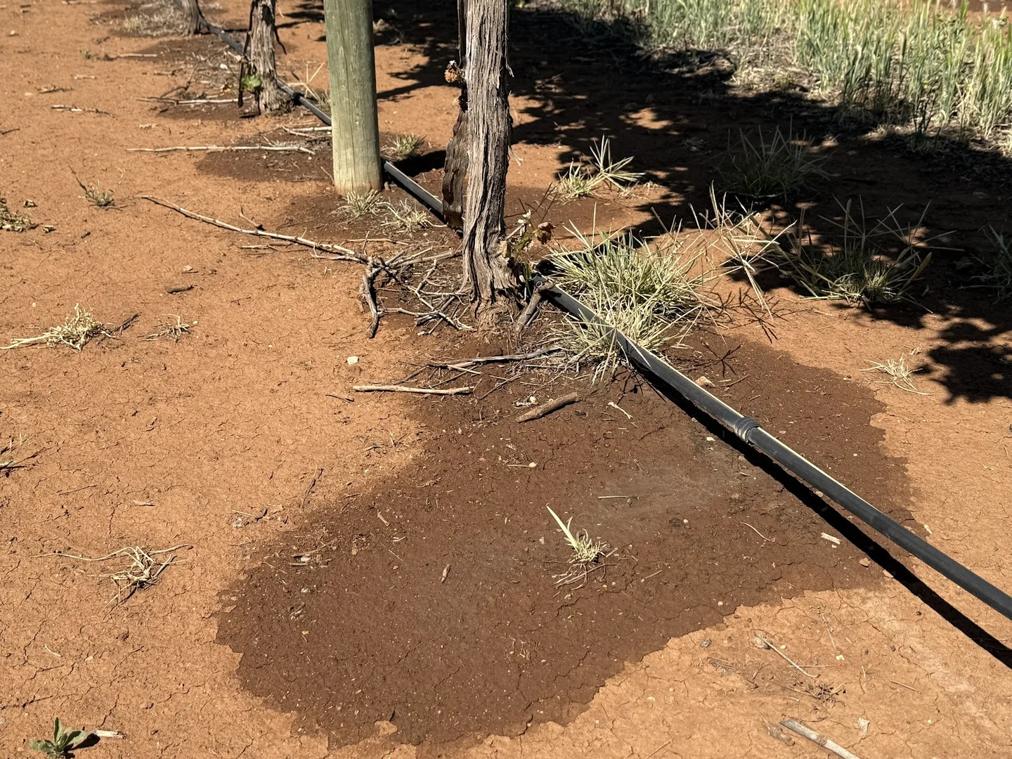 Additional image 19 of 391 Rossetto Road, Bilbul NSW 2680