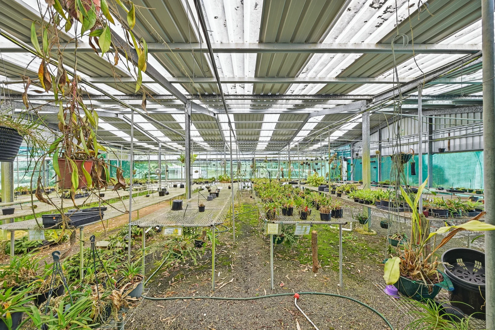 Additional image 24 of 125 Isaacs Road, Lorne NSW 2439