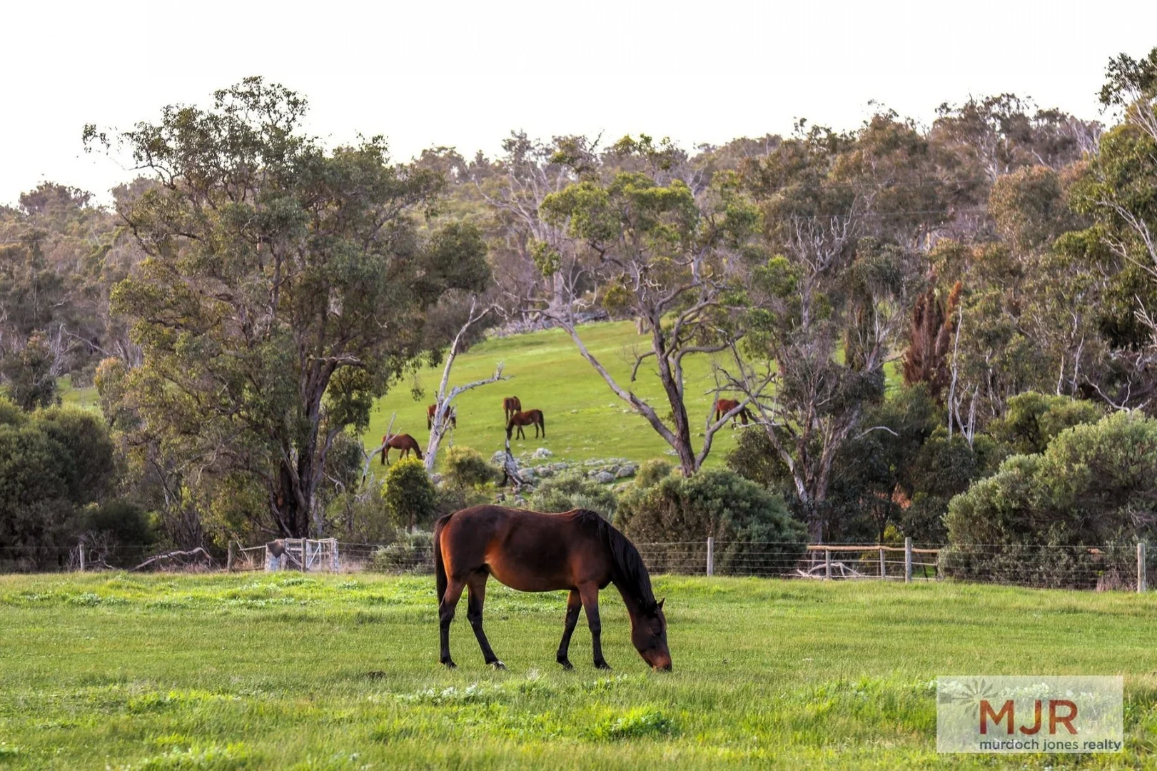 Additional image 25 of 3915 Quindanning-Darkan Road, Darkan WA 6392