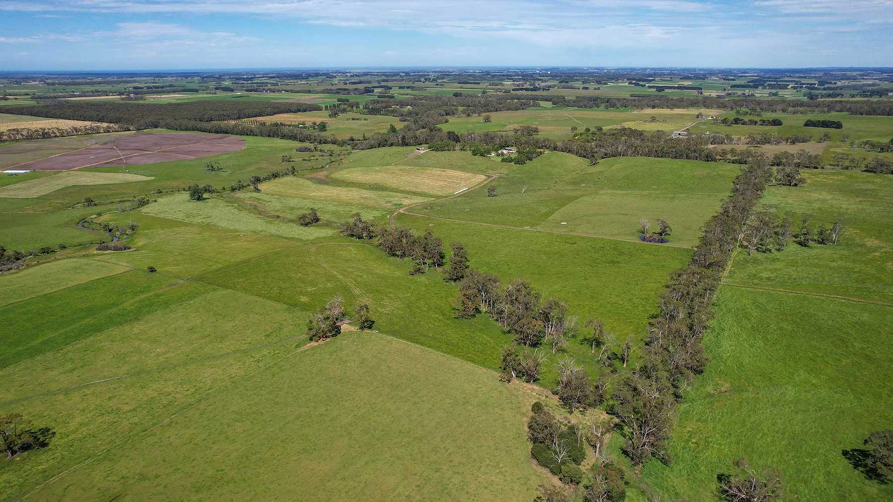 Additional image 40 of 335 Rollos Road, Panmure VIC 3265