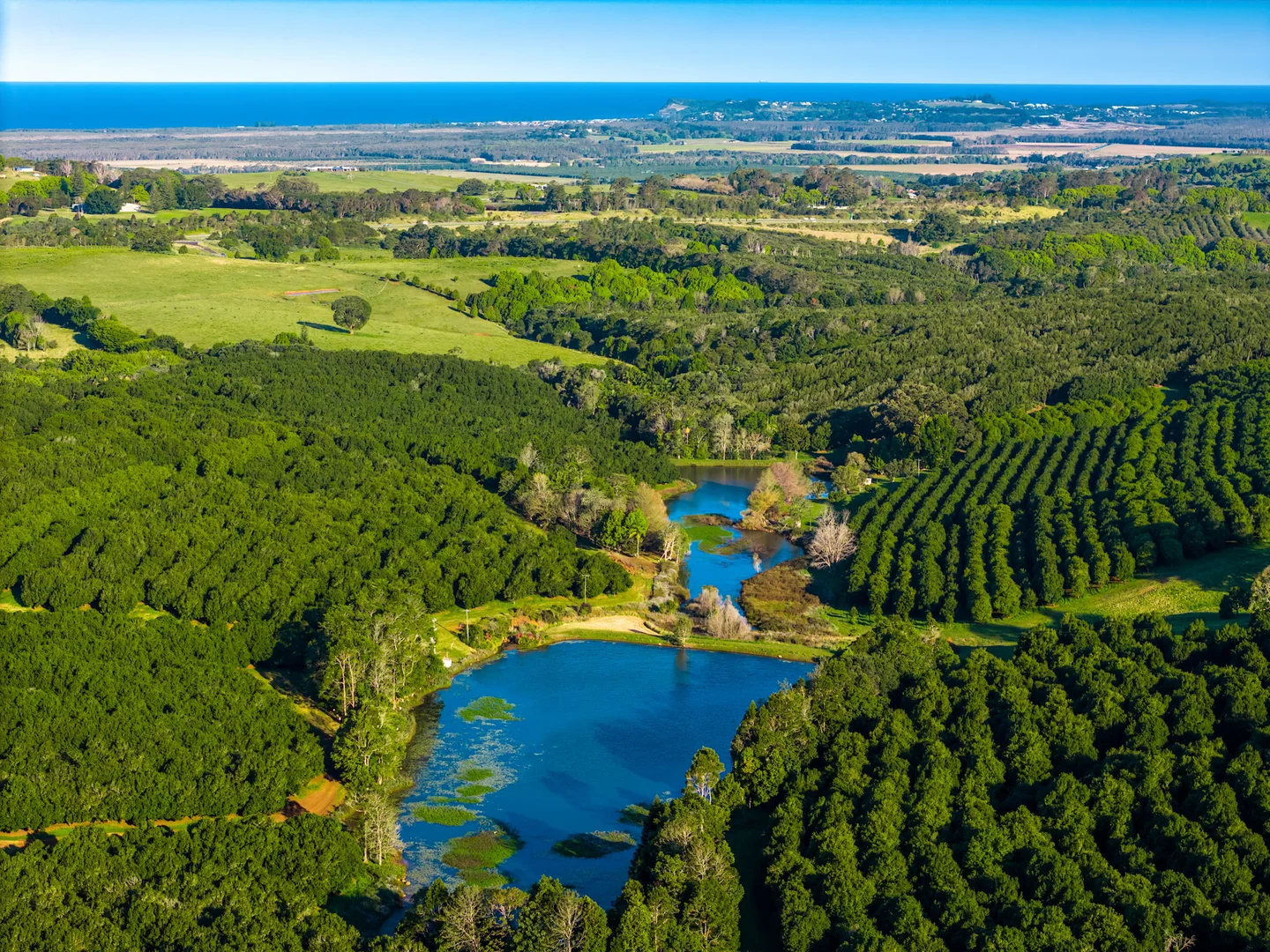 Additional image 3 of 145 Brooklet Road, Newrybar NSW 2479