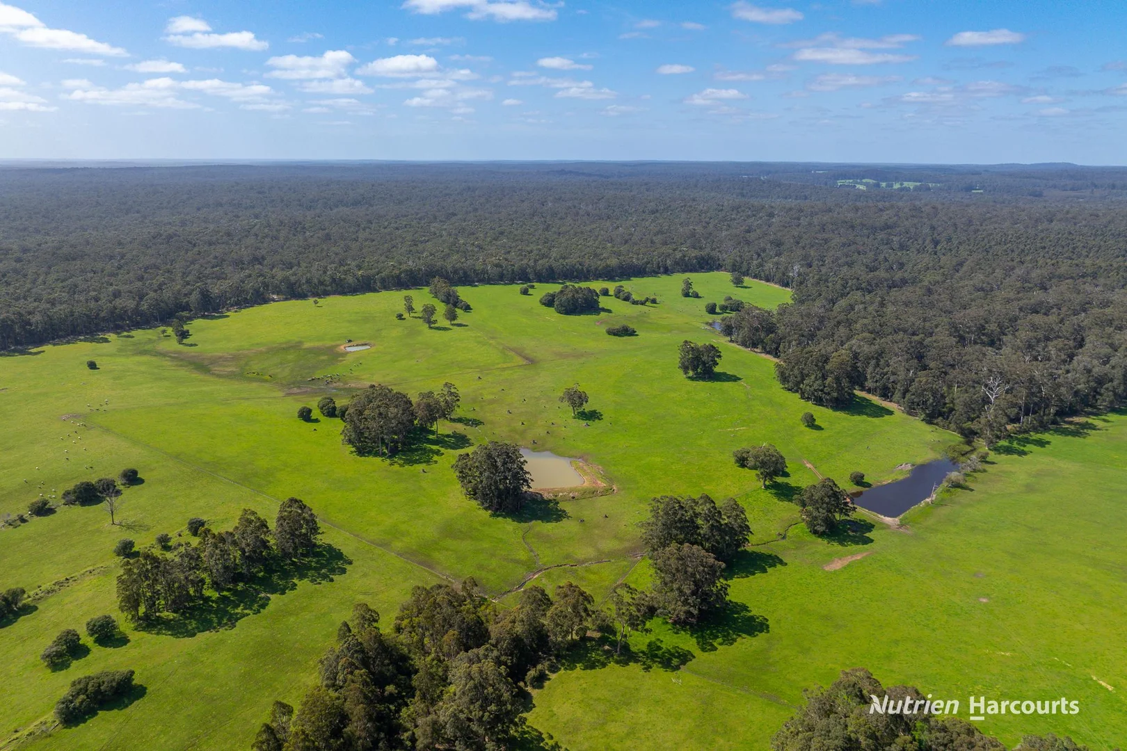 Additional image 7 of 1545 Muirillup Road, Boorara Brook WA 6262
