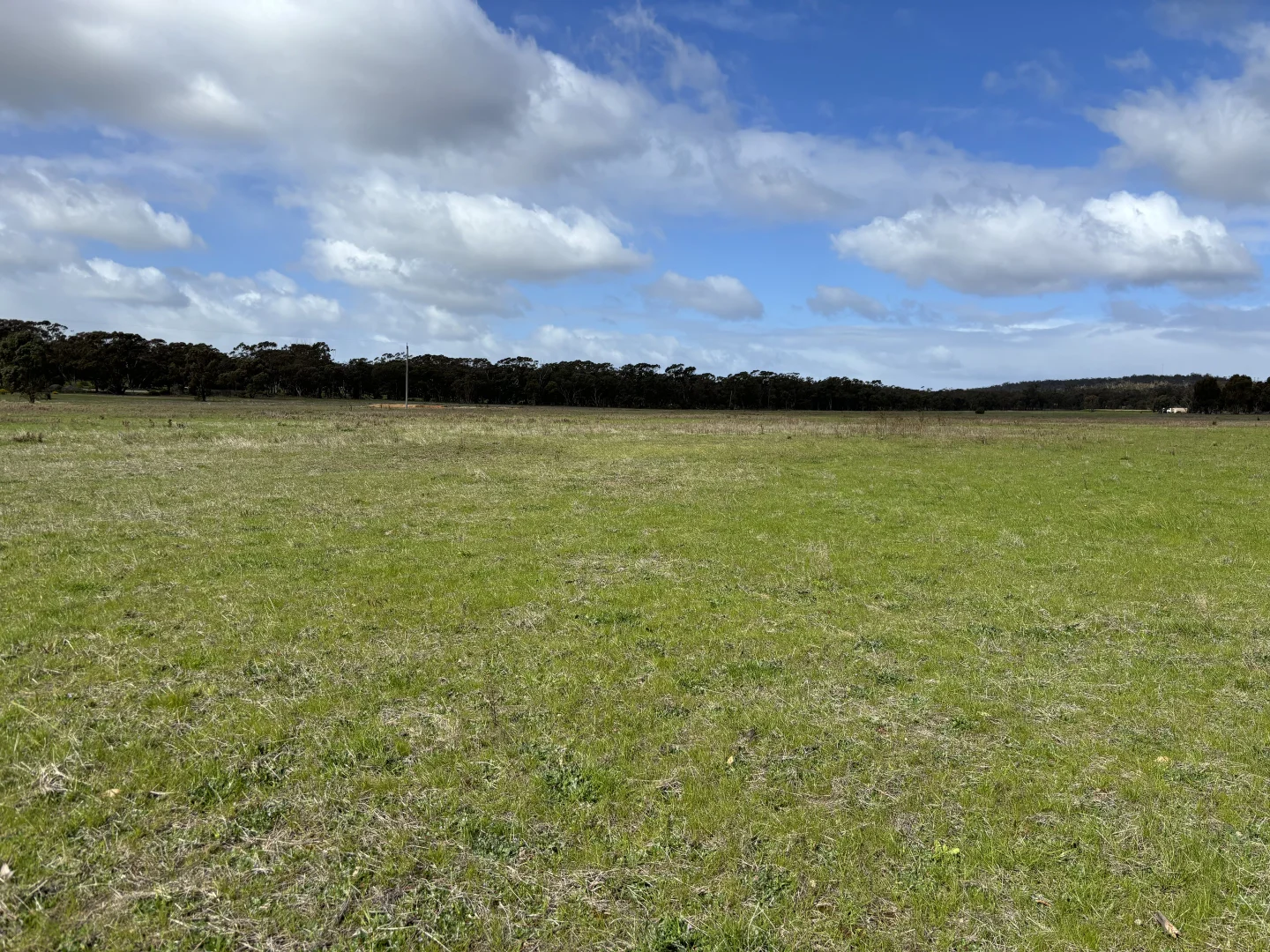 Additional image 20 of 00 St Arnaud - Wycheproof Road, St Arnaud VIC 3478