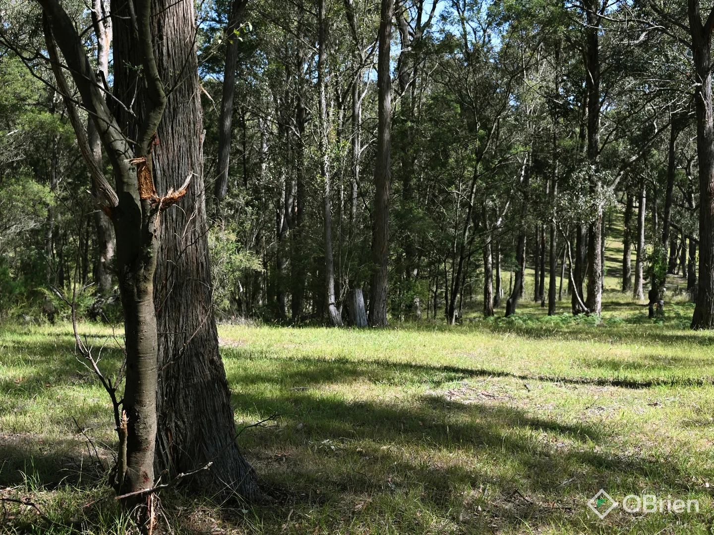 Additional image 11 of 655 Orrs Road, Wy Yung VIC 3875