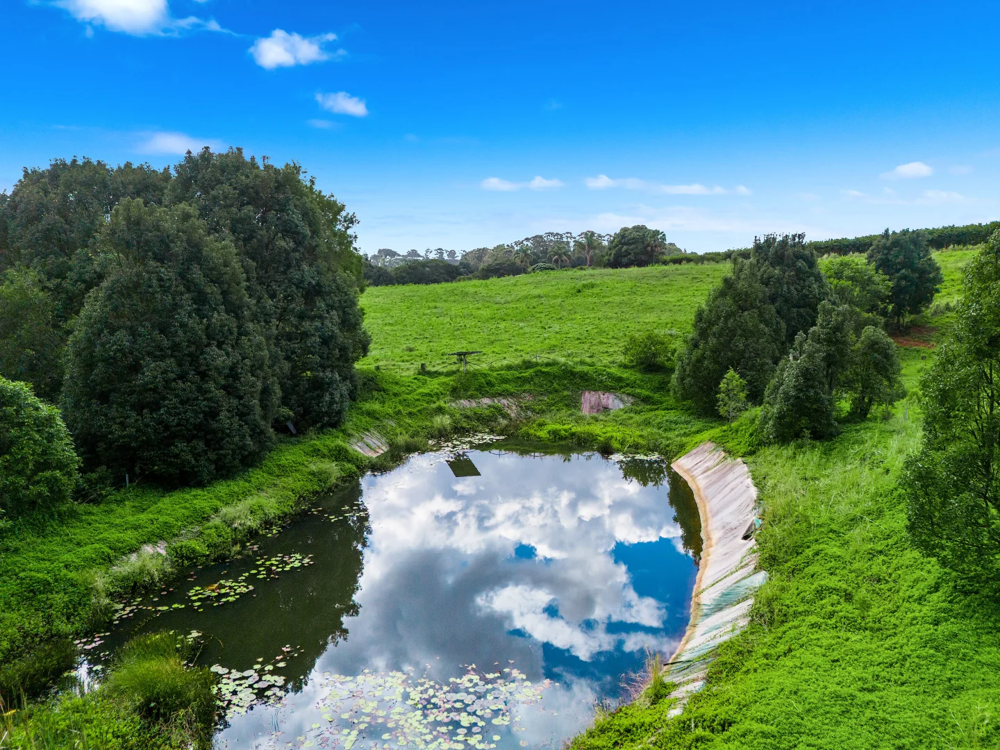 Additional image 5 of 617 Hinterland Way, Newrybar NSW 2479