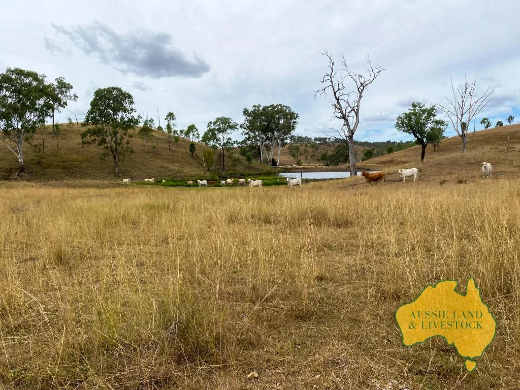 Additional image 69 of 2360 MONTO MOUNT PERRY ROAD, Yarrol QLD 4630