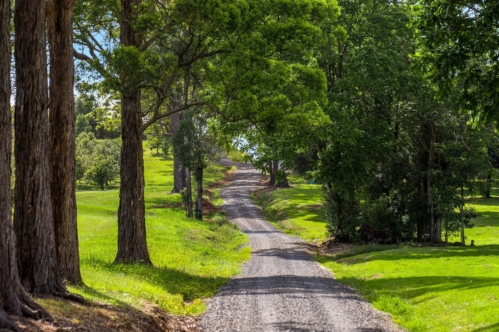 Additional image 9 of 323 Alcorn Road, Knockrow NSW 2479