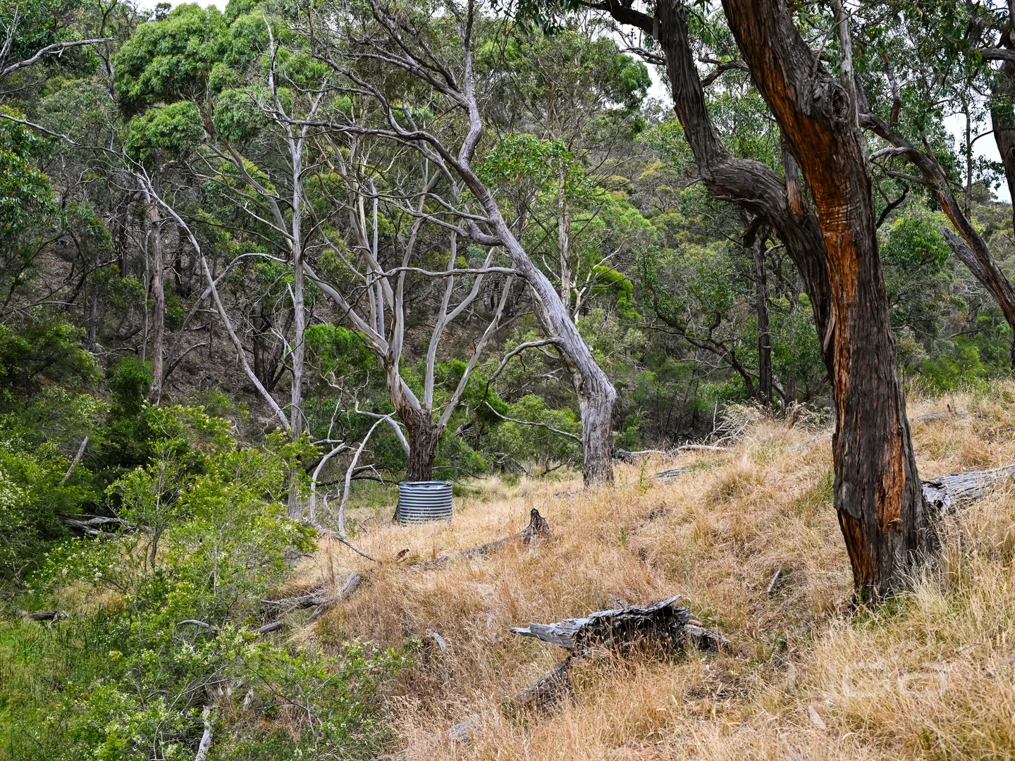 Additional image 34 of 231 Gisborne - Melton Road, Toolern Vale VIC 3337