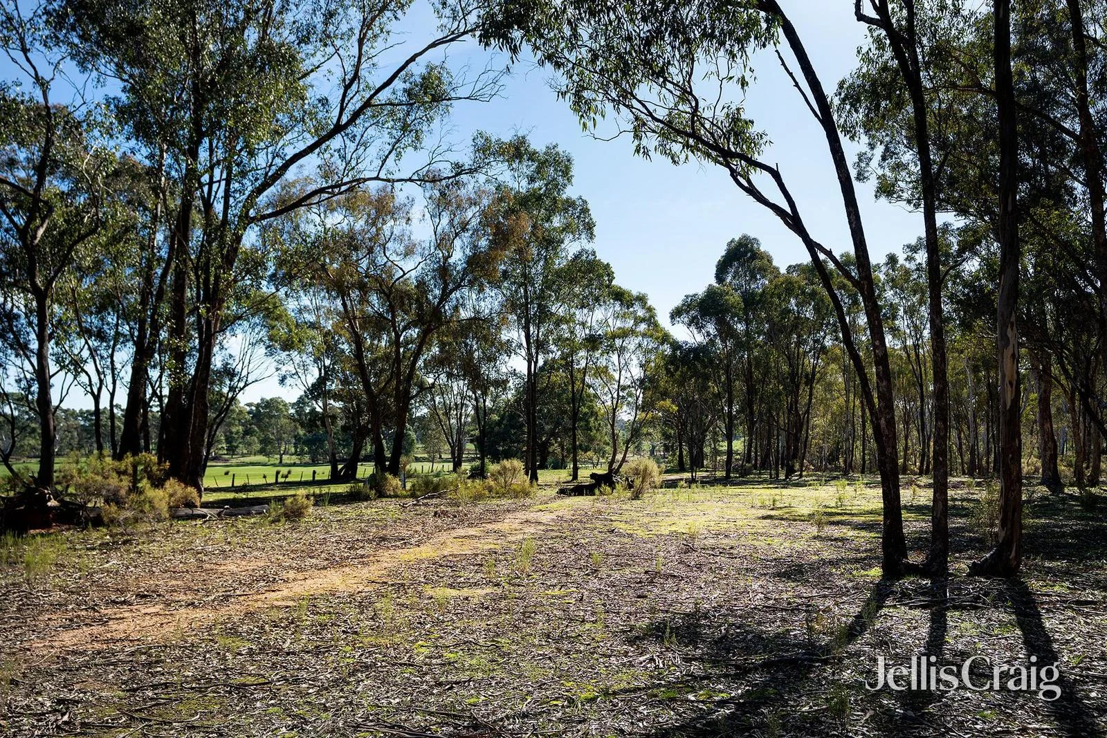 Additional image 8 of 536 Muckleford-Castlemaine Road, Muckleford VIC 3451
