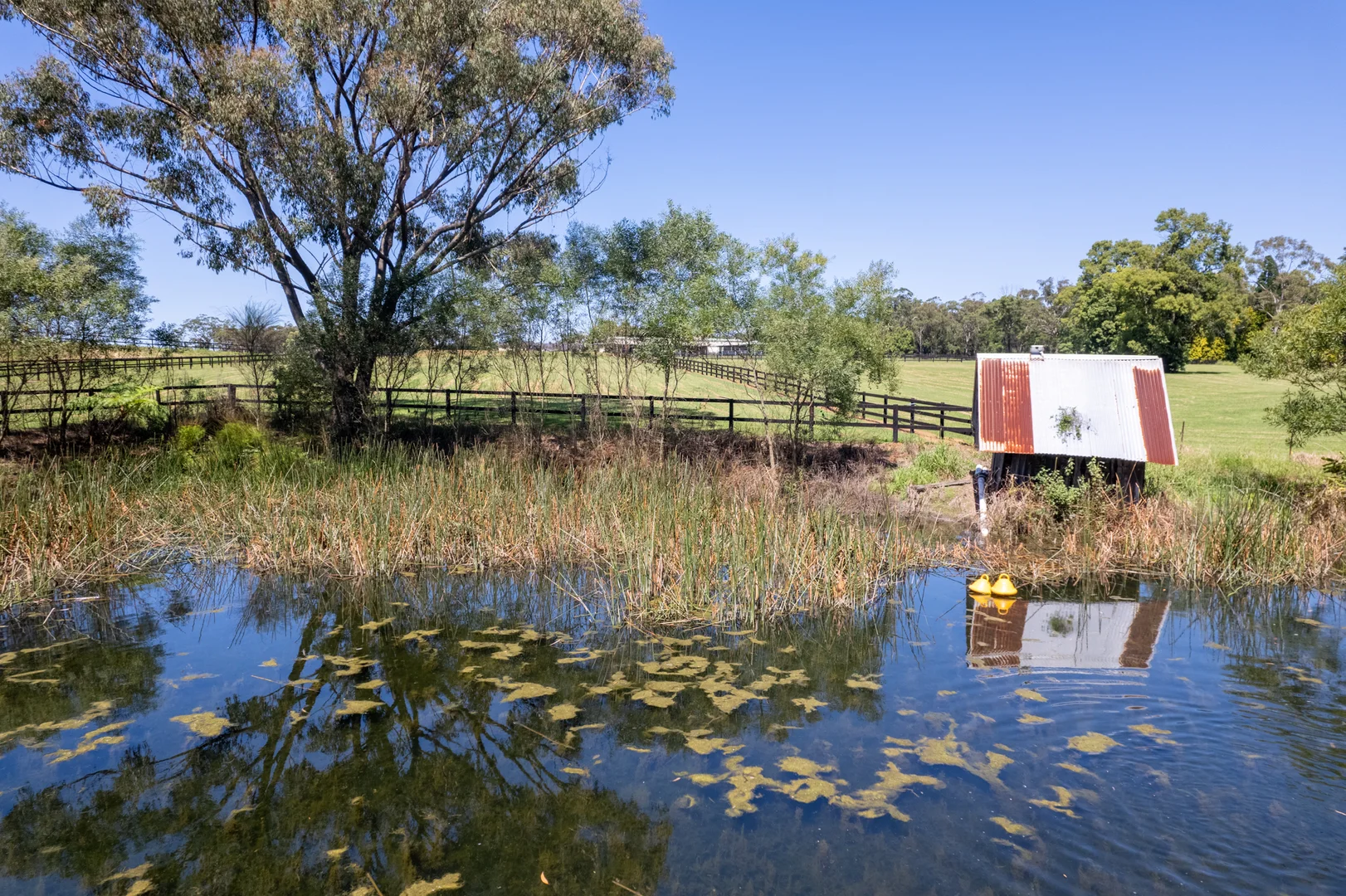 Additional image 33 of 140 Hallards Road, Central Mangrove NSW 2250
