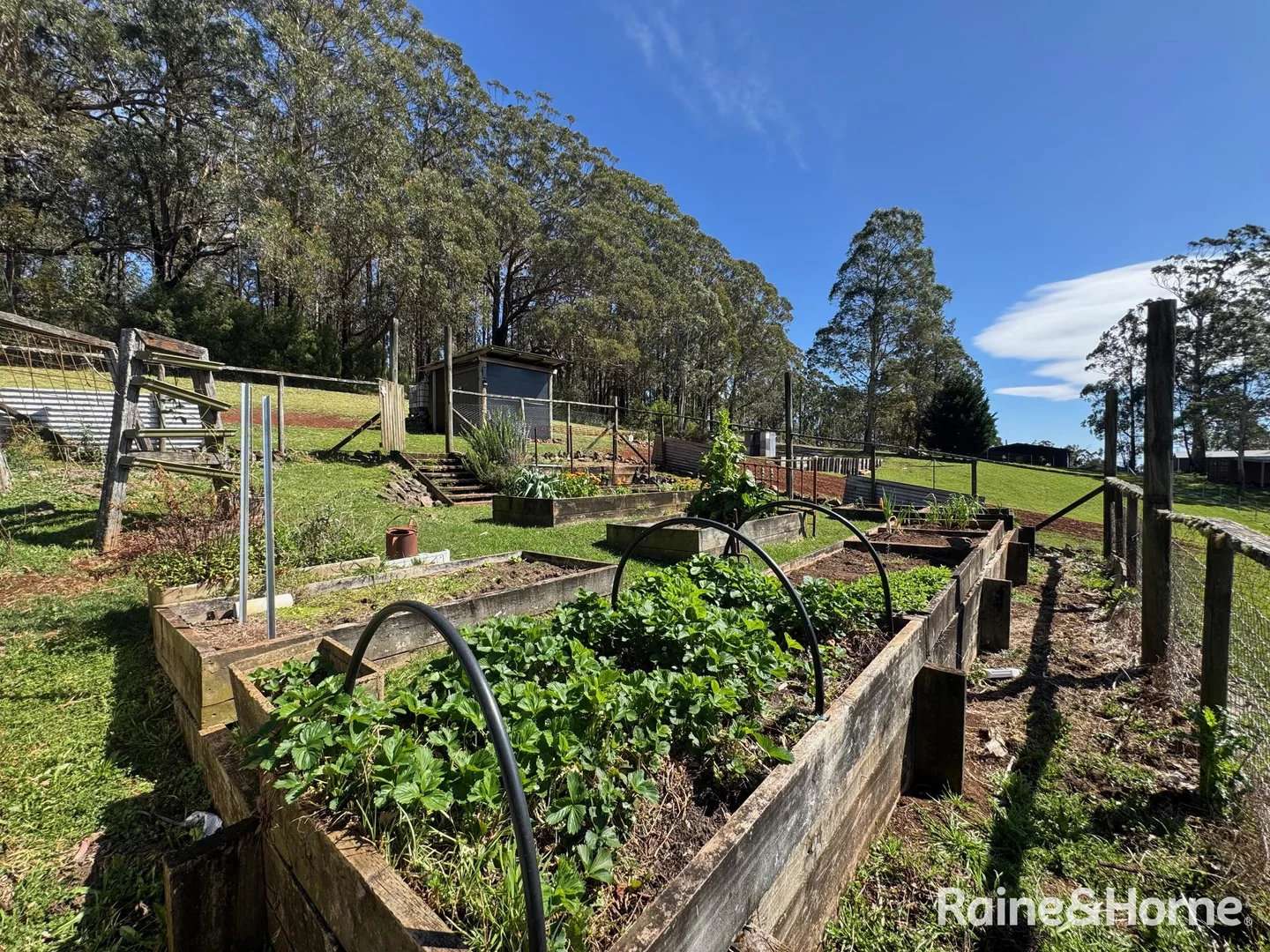 Additional image 10 of 36 Sturgiss Road, Sassafras NSW 2622