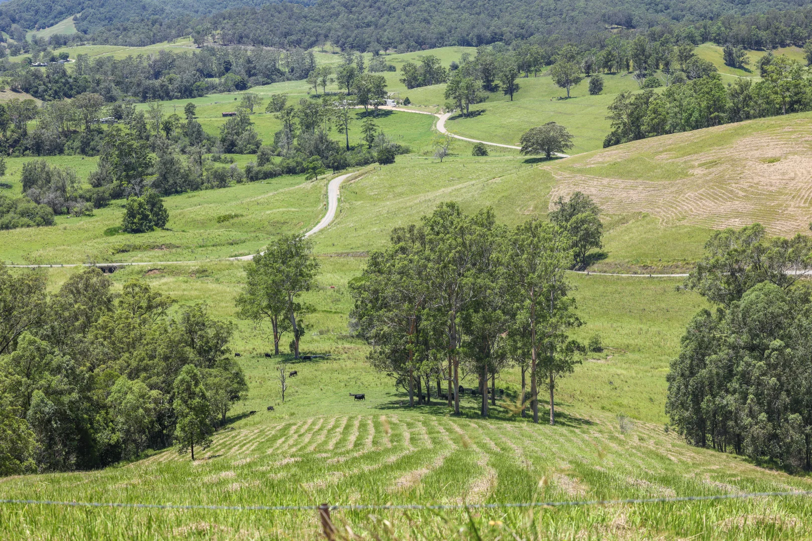 Additional image 13 of 55 Argues Rd, Upper Taylors Arm NSW 2447