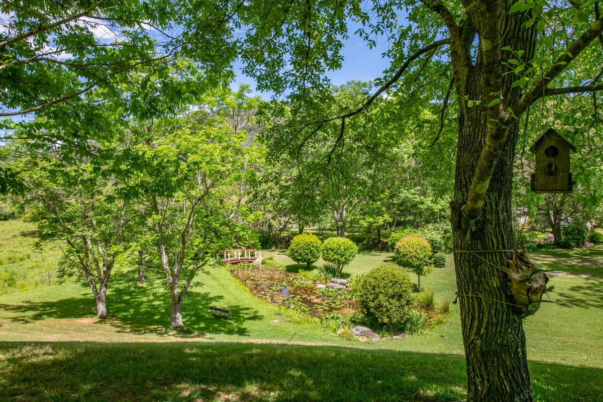 Additional image 30 of 111 Bunning Creek Road, Yarramalong NSW 2259