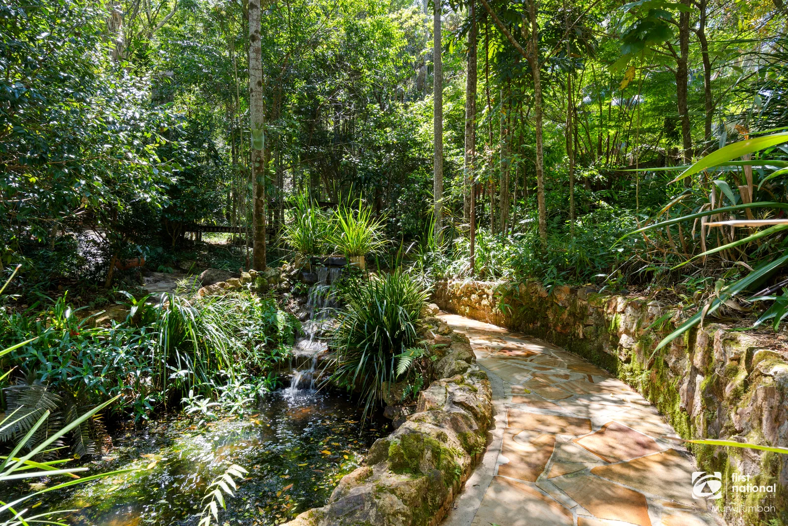 Additional image 7 of 1382 Numinbah Road, Chillingham NSW 2484