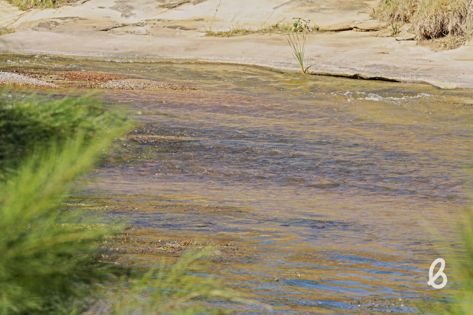 Additional image 32 of 562 Yarrawa Road, Yarrawa NSW 2328