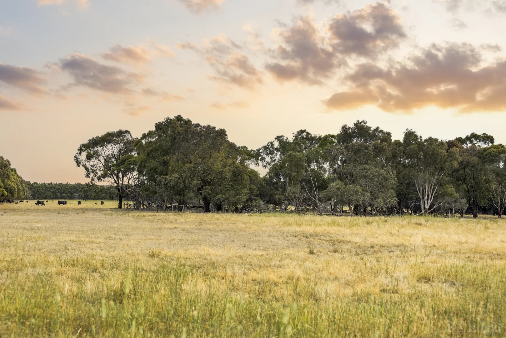 Additional image 30 of 1030 Surf Coast Highway, Mount Duneed VIC 3217