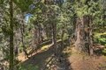 Additional image 43 of 28730 Potomac, Lake Arrowhead, CA, 92352