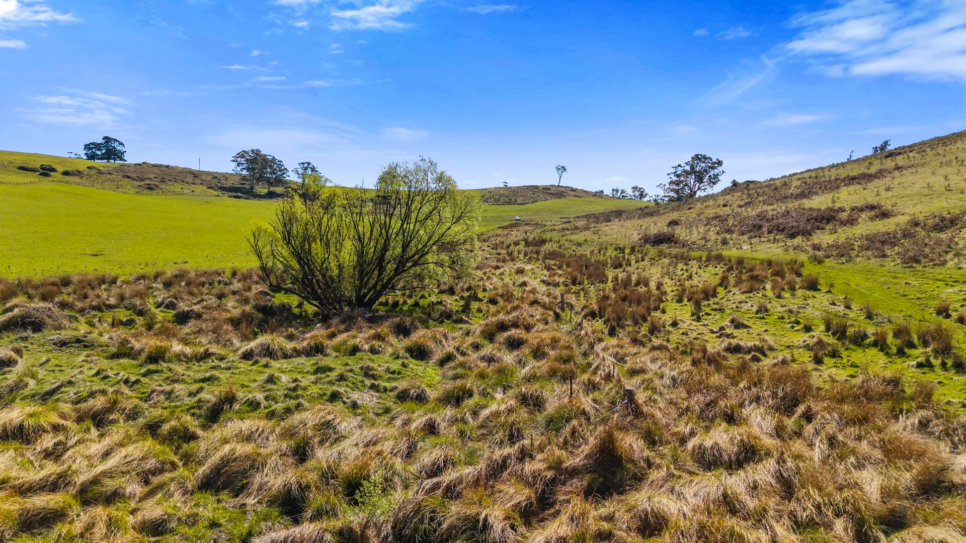 Additional image 27 of 5733-5734 Abercrombie Road, Paling Yards NSW 2580