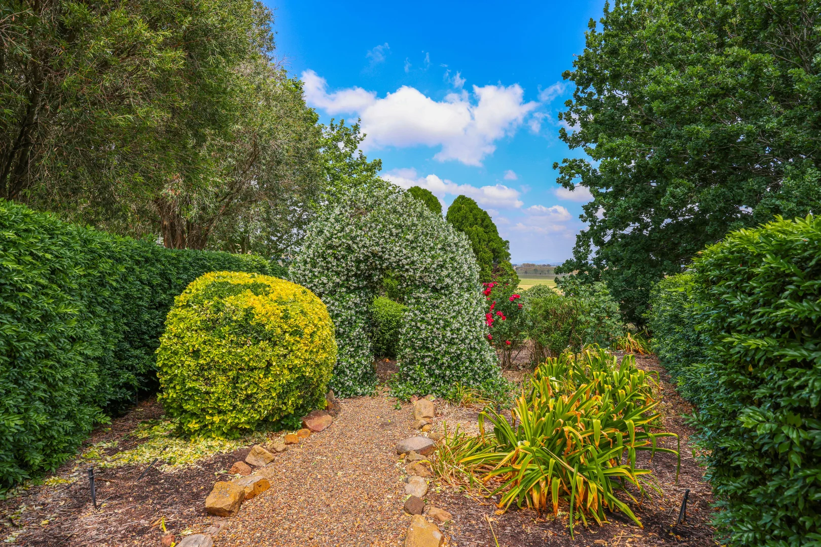 Additional image 27 of 2022 New England Highway, Scone NSW 2337