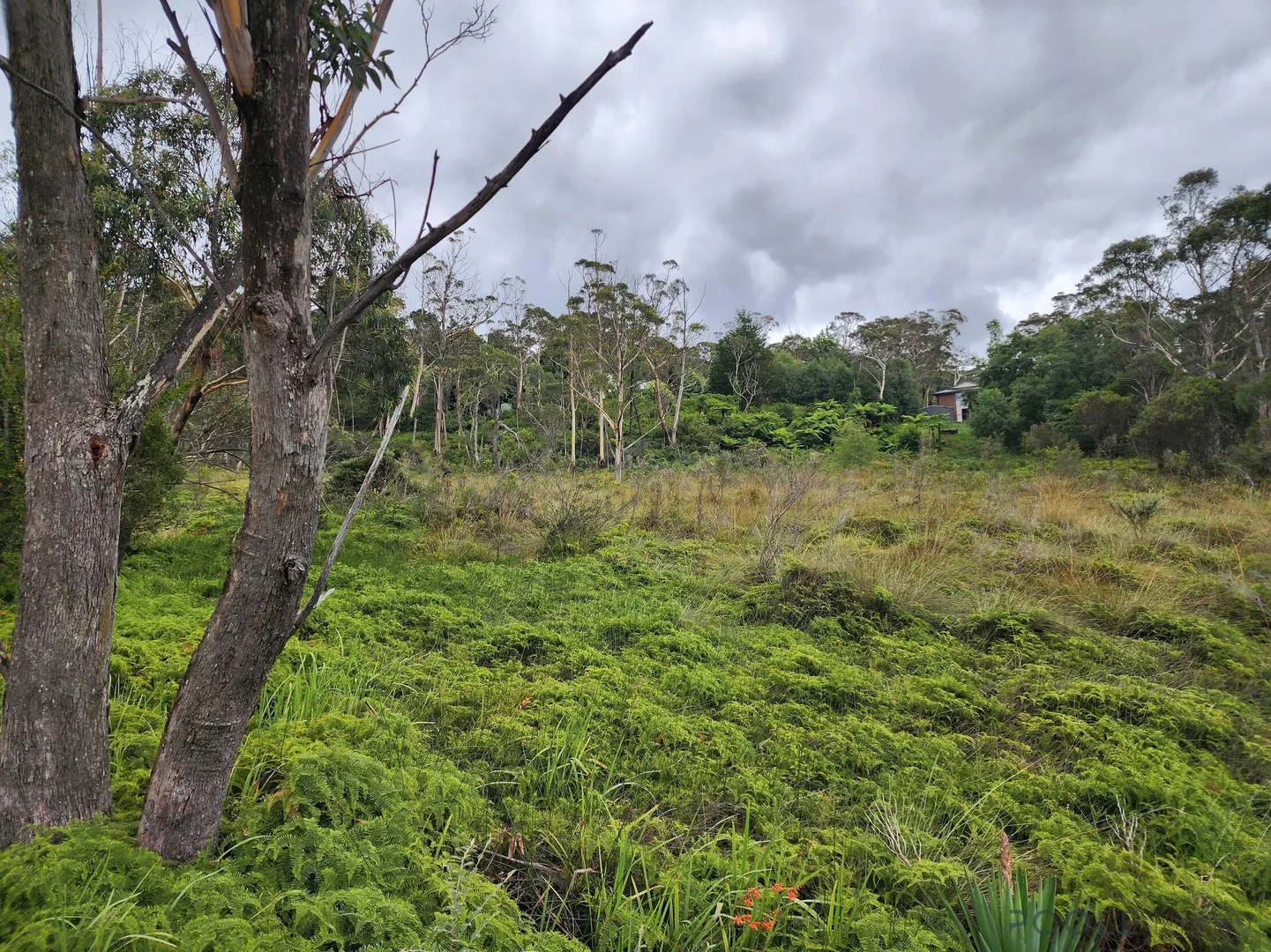 Additional image 8 of Lot 24 Lomandra Place, Katoomba NSW 2780