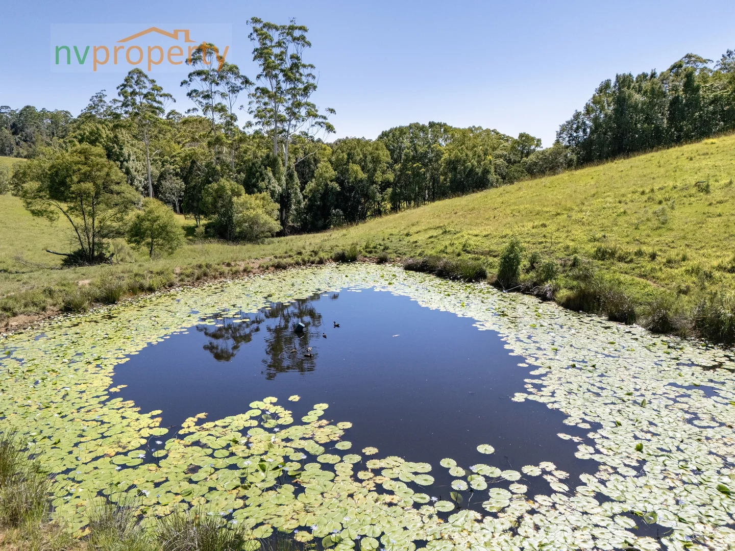 Additional image 2 of 657 Newee Creek Road, Newee Creek NSW 2447