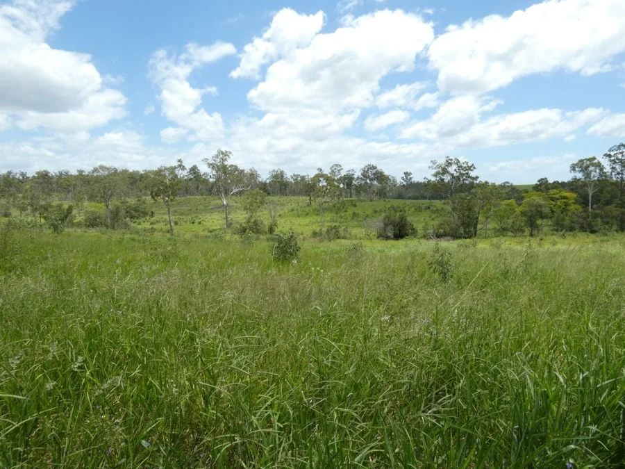 Additional image 26 of Lot 43 Moolyung Road, Waterloo QLD 4673