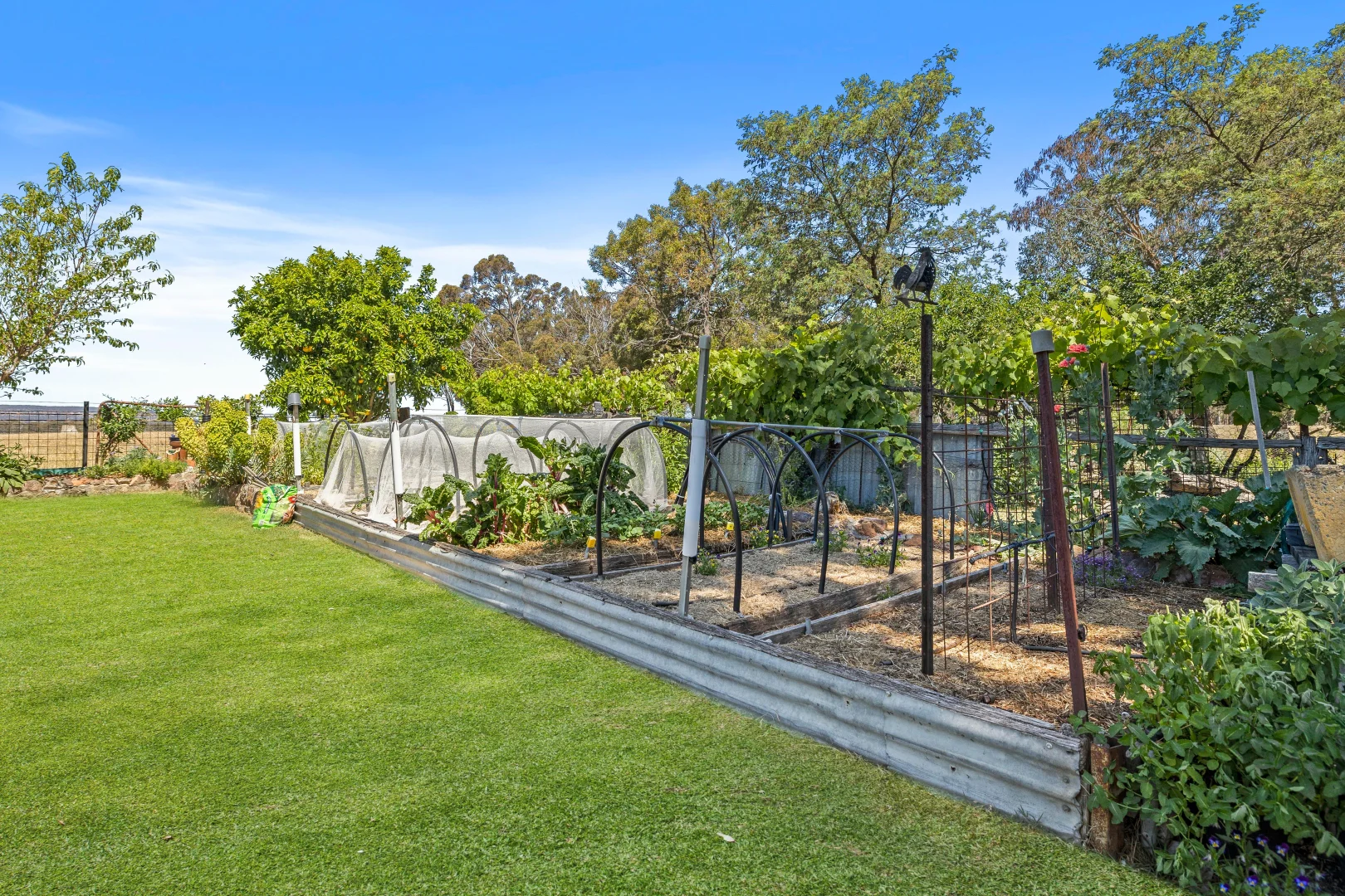 Additional image 15 of 5066 Castlereagh Highway, Round Swamp NSW 2846