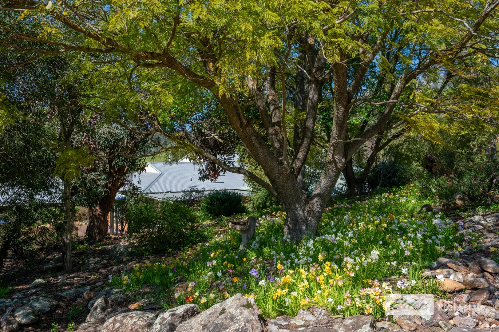 Additional image 33 of 260 Thomson Brook Road, Thomson Brook WA 6239