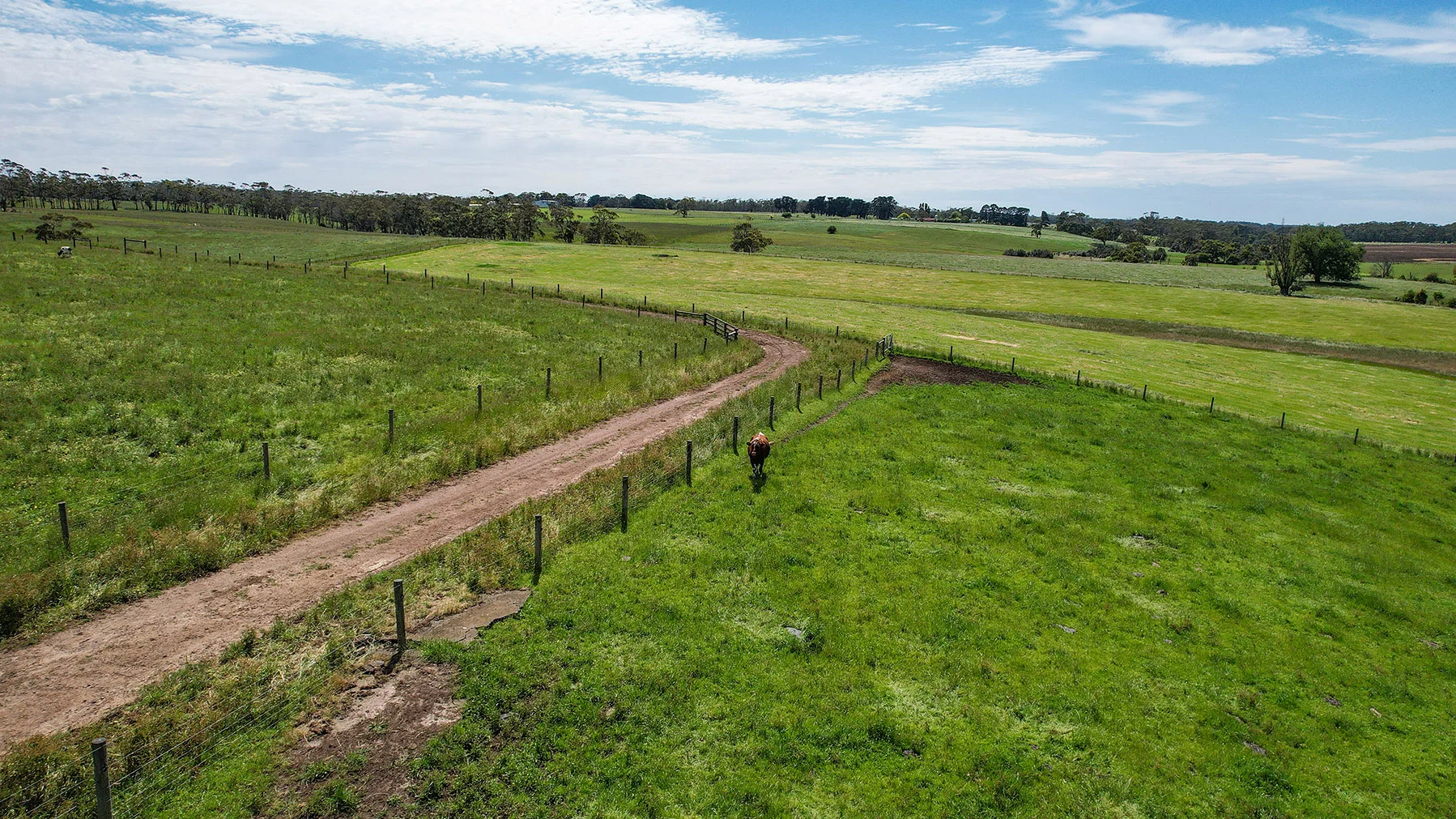 Additional image 34 of 335 Rollos Road, Panmure VIC 3265