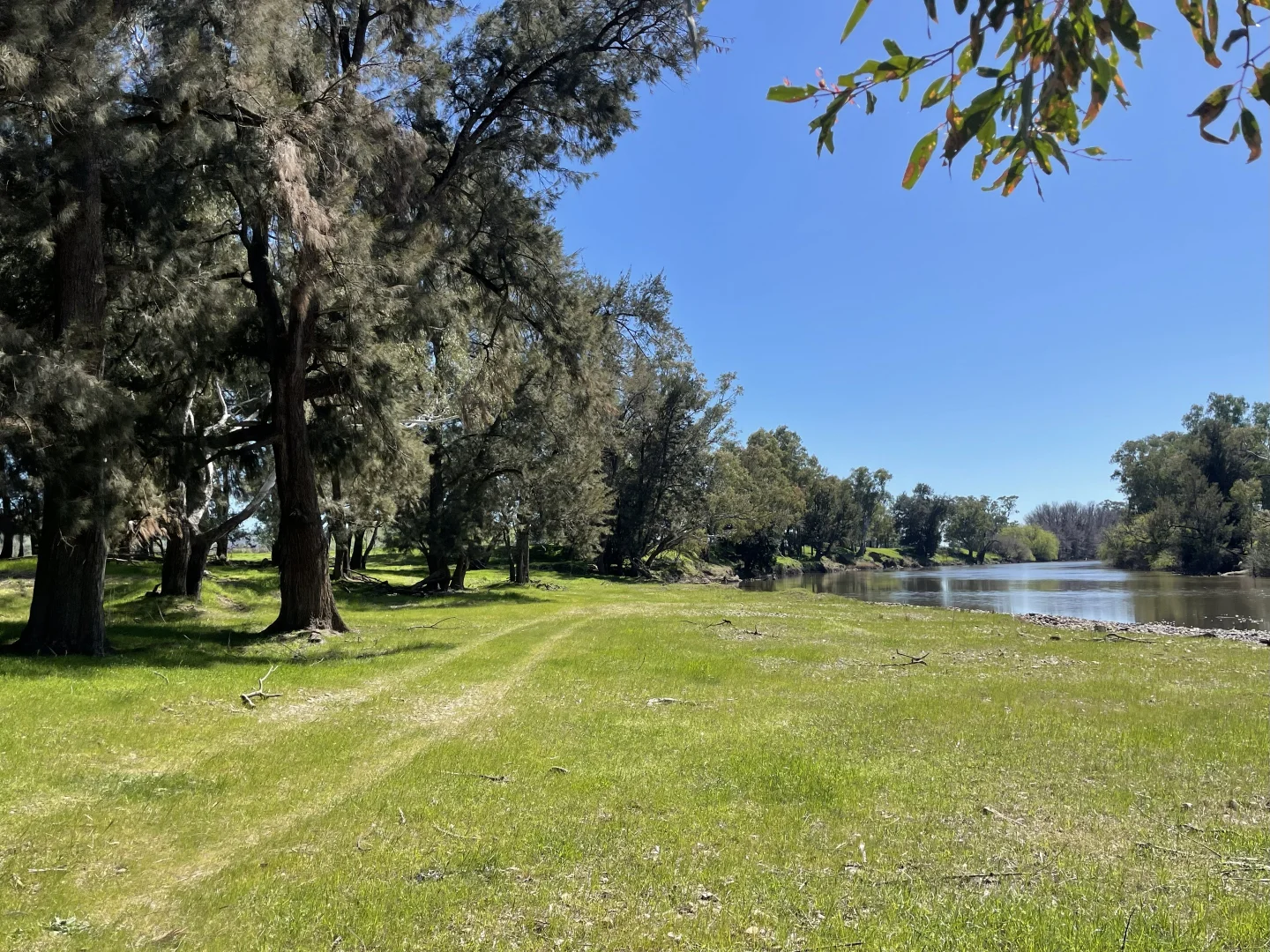 Additional image 43 of 44 Dodd Street, Gundagai NSW 2722