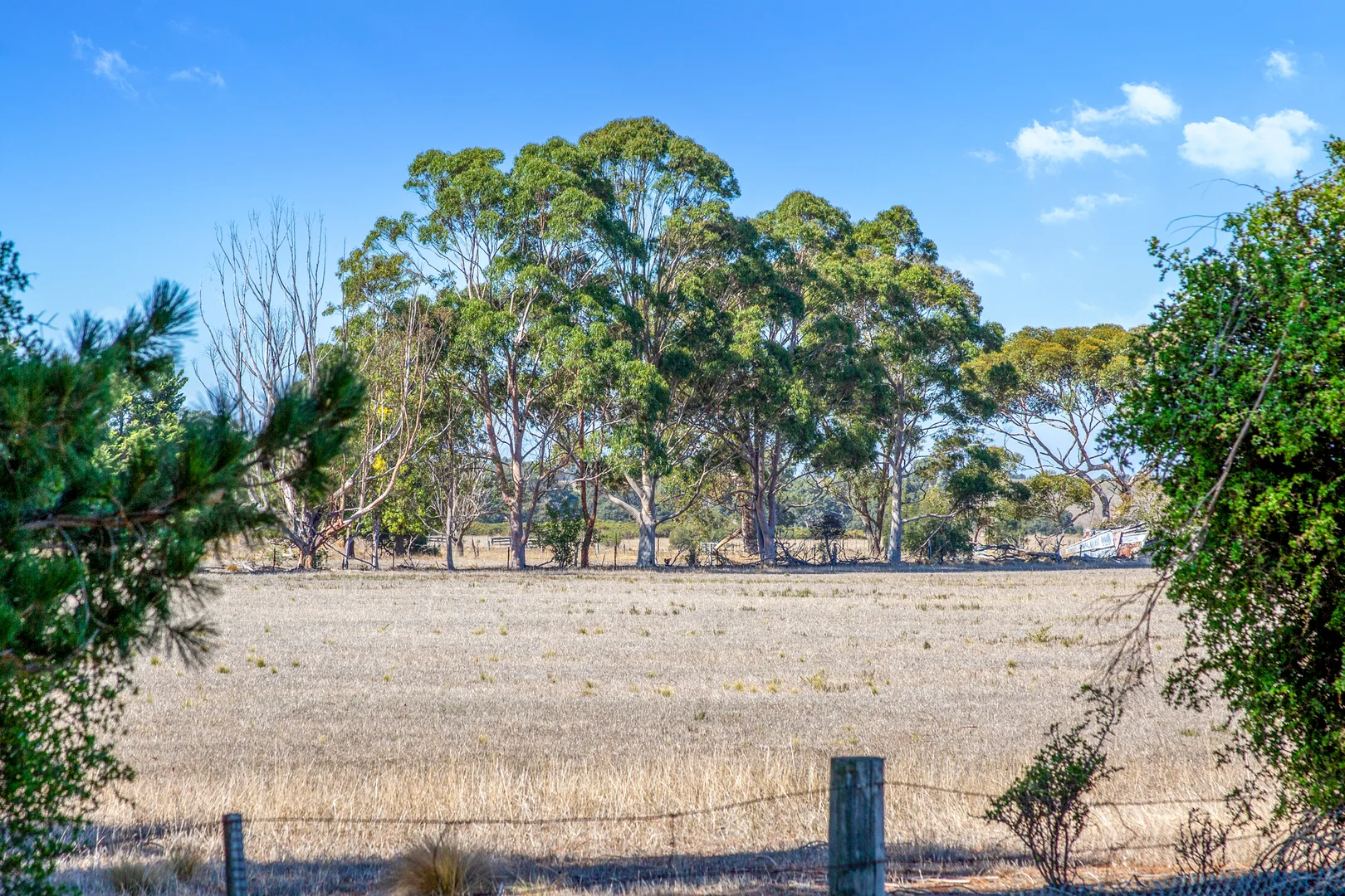 Additional image 7 of Lot 126 Mahers Road, Inverleigh VIC 3321