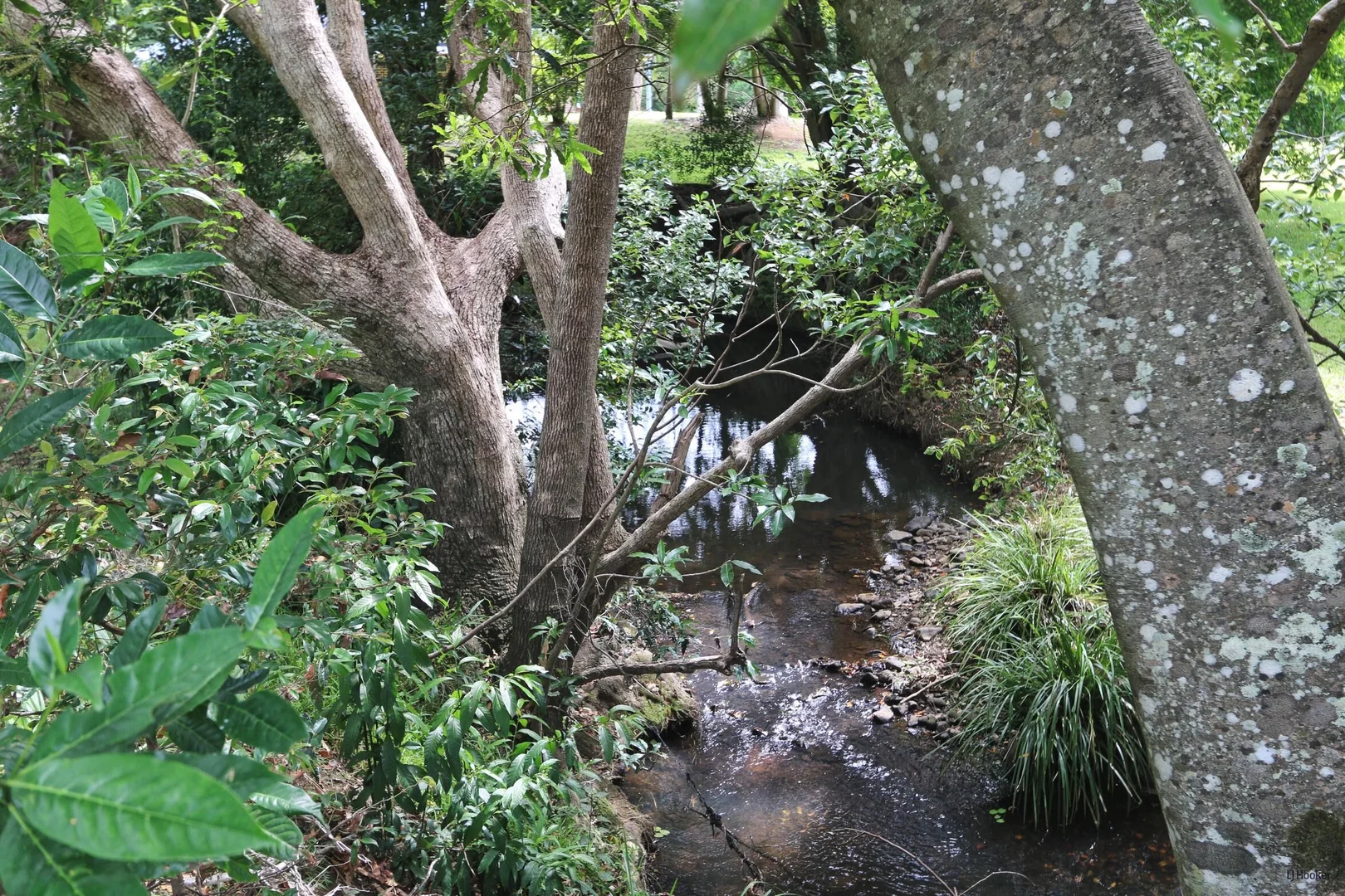 Additional image 26 of 384 Cobaki Road, Cobaki NSW 2486