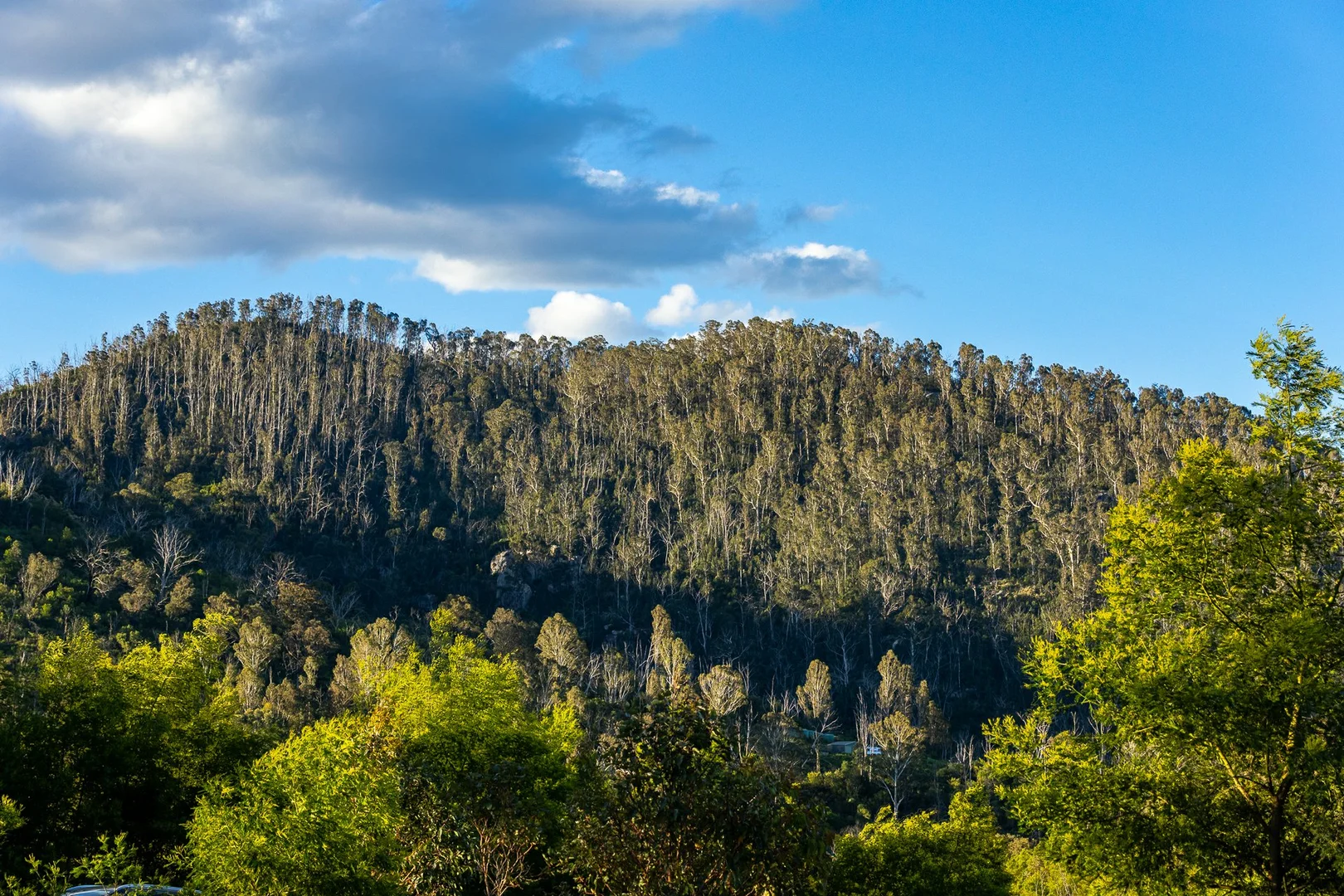 Additional image 11 of 1216 Upper Brogo Road, Brogo NSW 2550