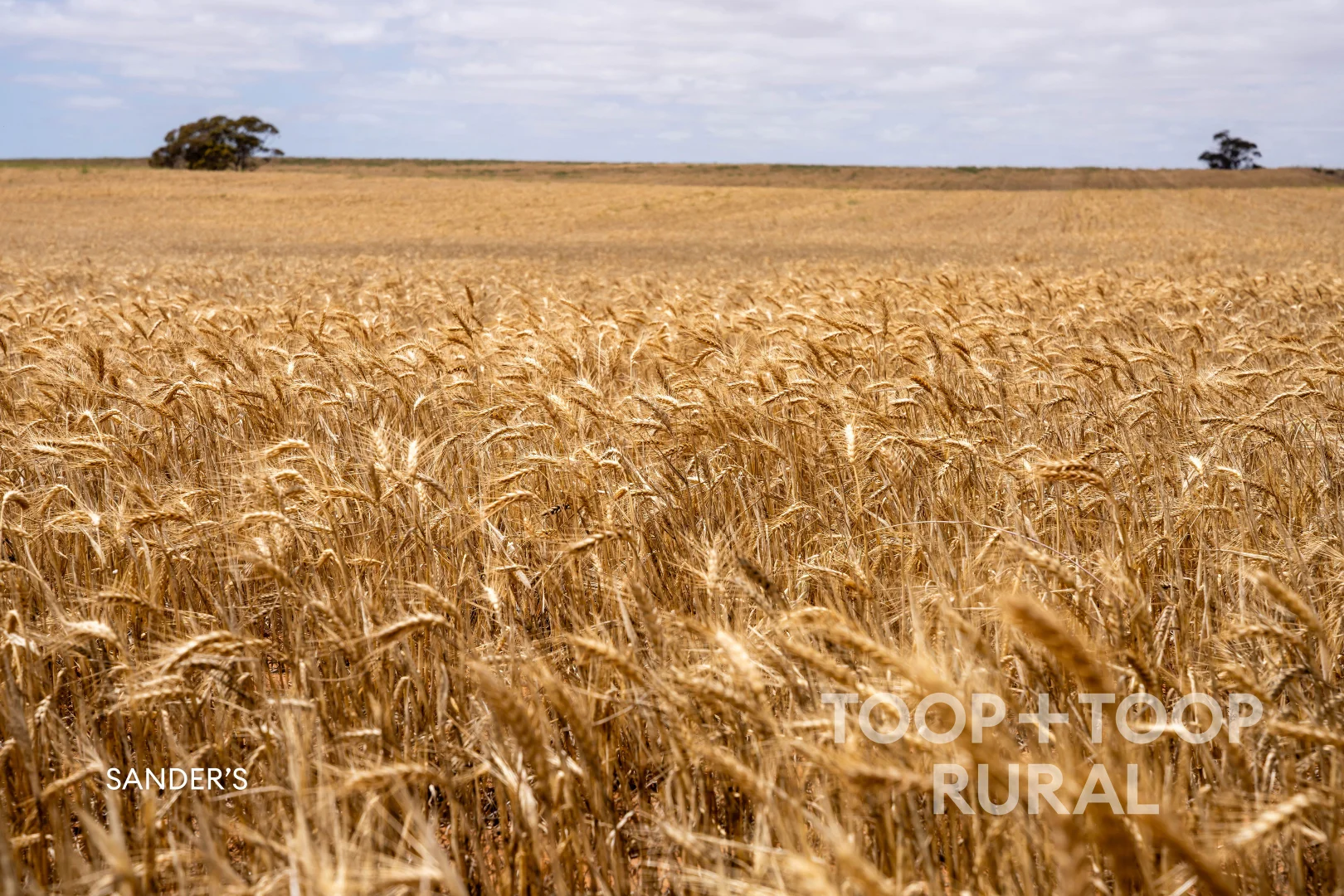 Additional image 31 of 833 Walshs Bore Road, Copeville SA 5308