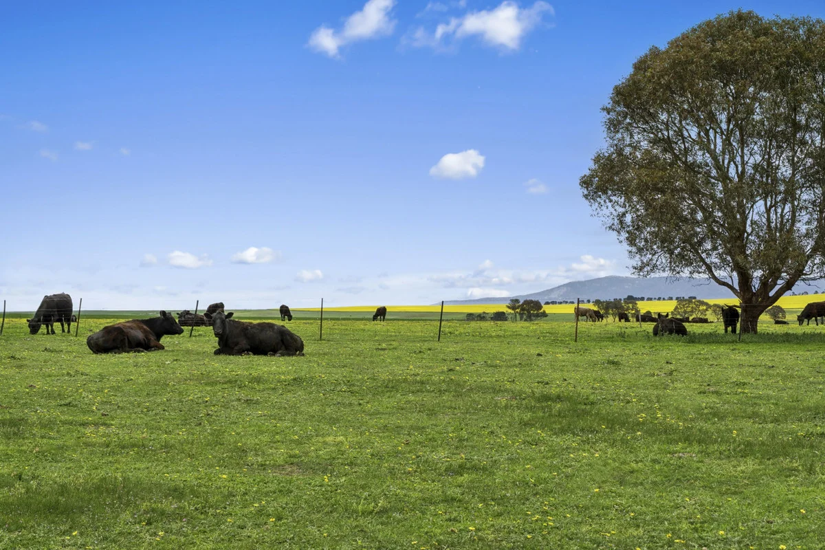 Additional image 2 of 3077 Geelong Road, Cross Roads VIC 3373