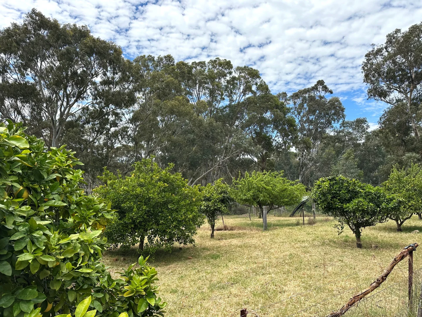 Additional image 19 of 59 Williams Street, Boyup Brook WA 6244