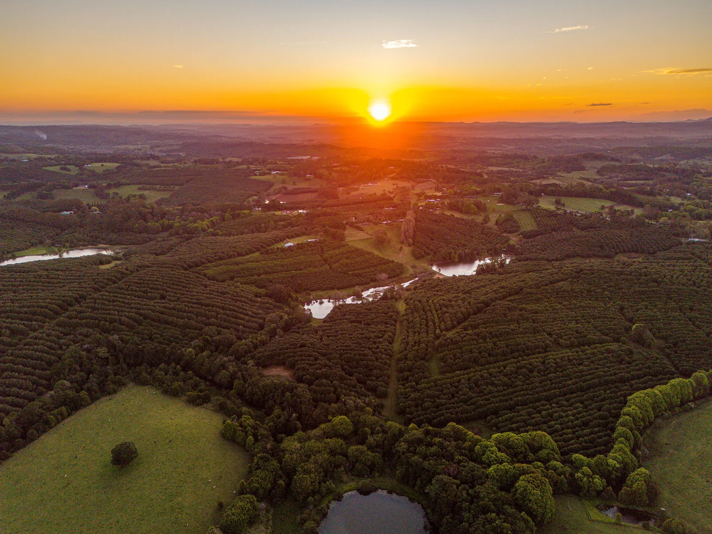 Additional image 13 of 145 Brooklet Road, Newrybar NSW 2479