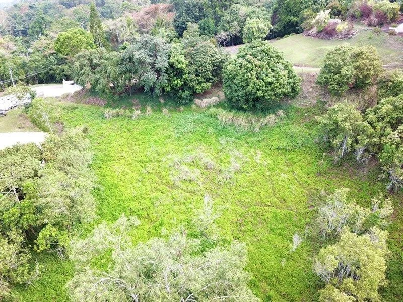 Additional image 3 of 29-31 Mount William Close, Redlynch QLD 4870