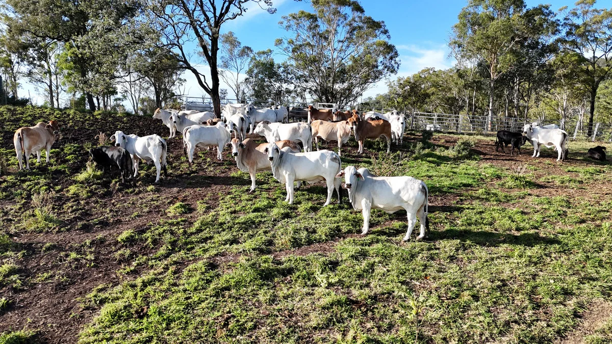 Additional image 8 of 32 Armstrong Road, West Haldon QLD 4359