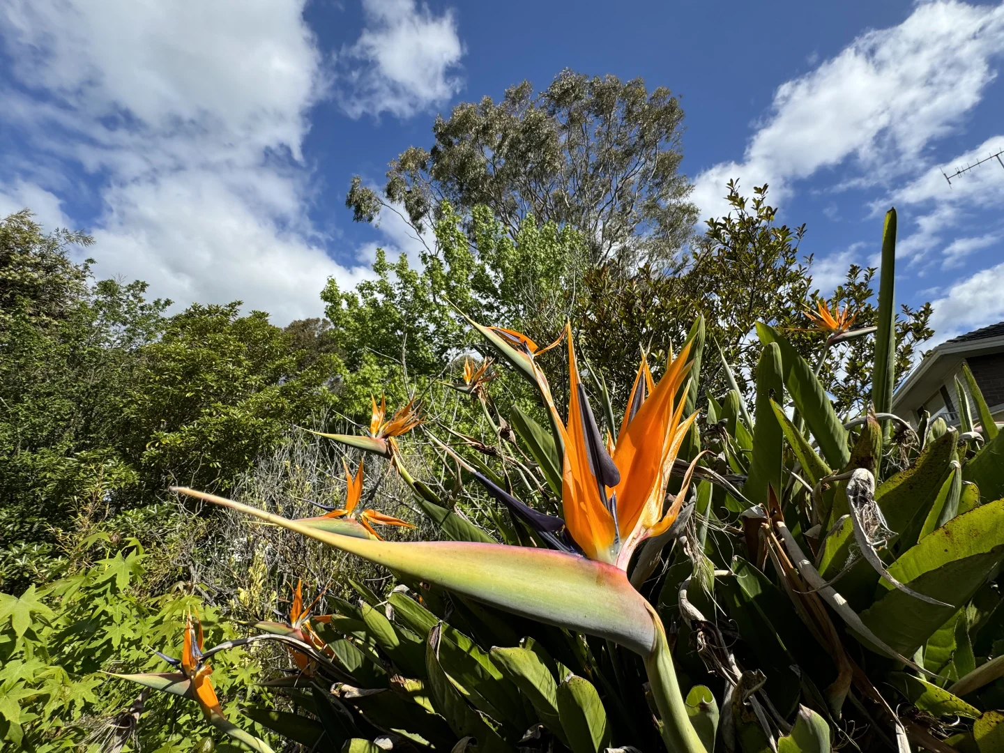 Additional image 16 of 21-23 Walker Parade, Churchill VIC 3842