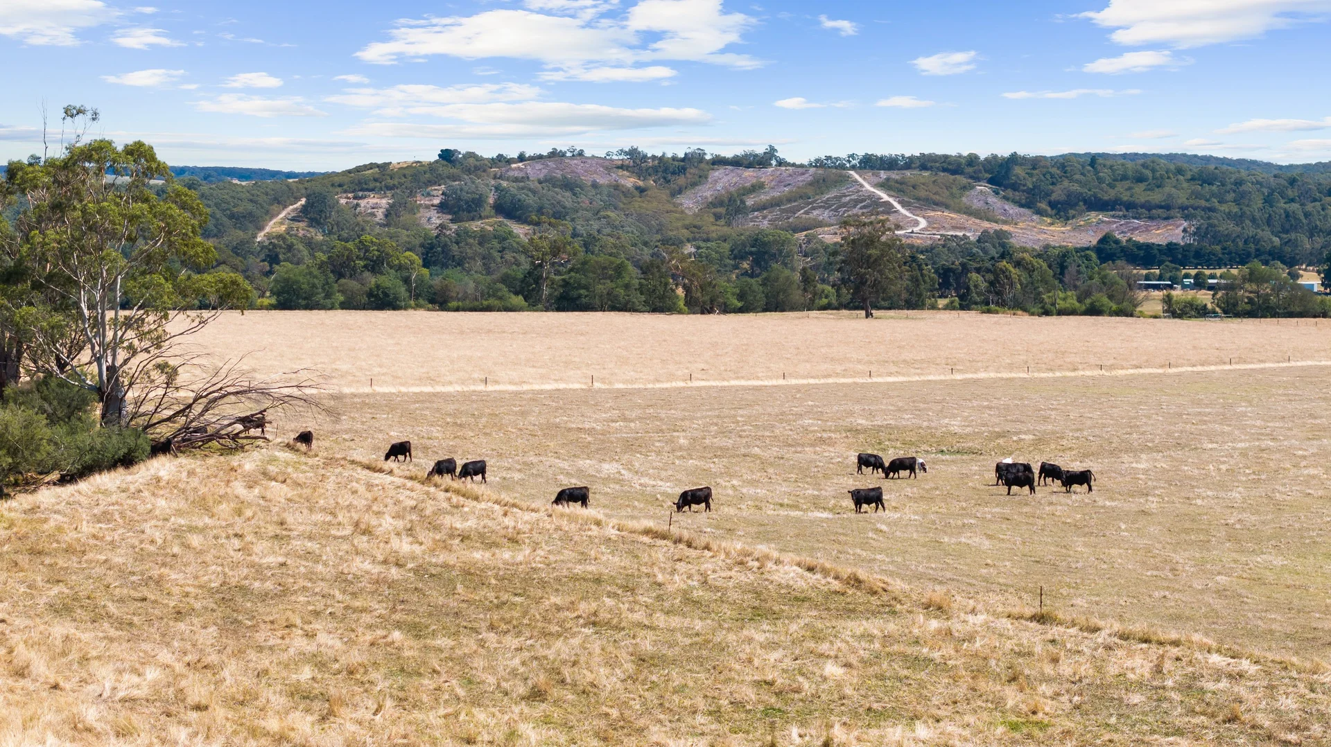 Additional image 6 of 87 Christensens Road, Tyers VIC 3844