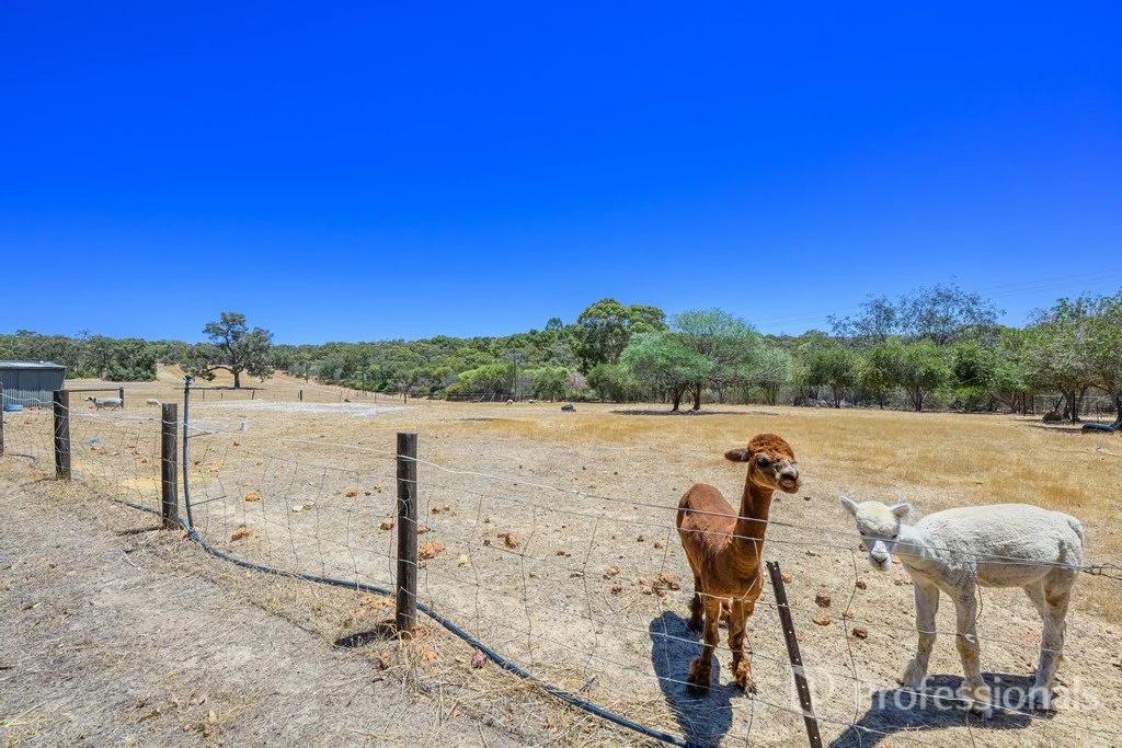 Additional image 31 of 133 Sandalford Drive, Chittering WA 6084