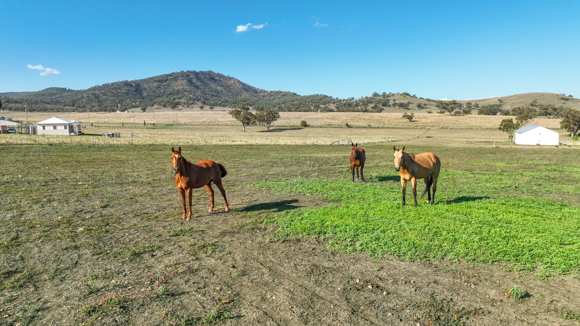 Additional image 24 of 3 Bakewell Circuit, Scone NSW 2337