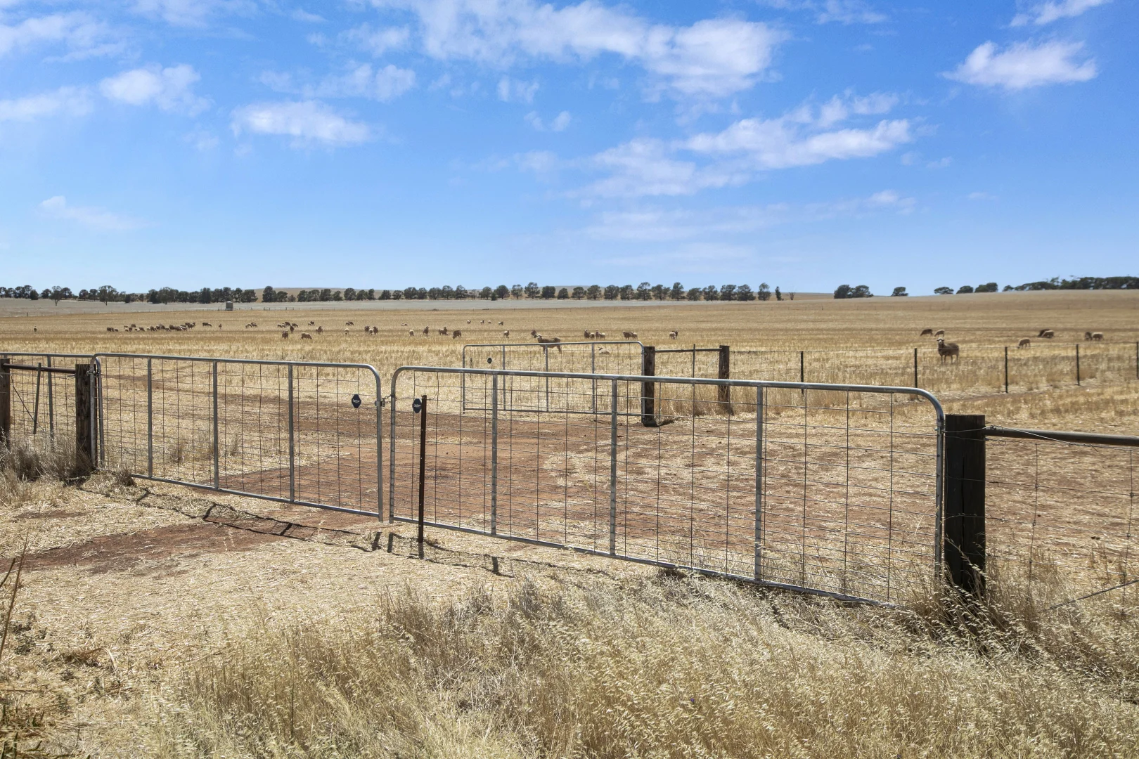 Additional image 10 of 'Klingers' Frost Road, Mannanarie SA 5422